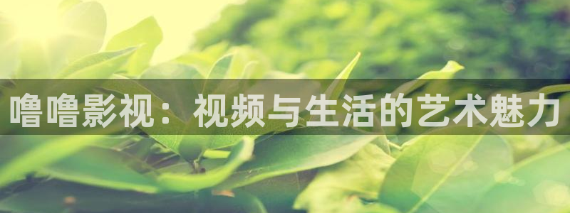 收获之夜西瓜影院：噜噜影视：视频与生活的艺术魅力