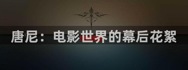 西瓜频道：唐尼：电影世界的幕后花絮