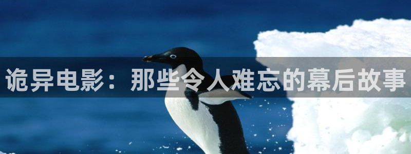 巡回检察组西瓜影院
