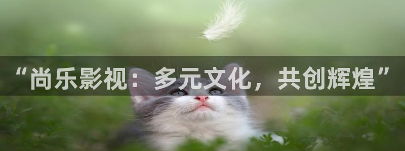 西瓜资源在线：“尚乐影视：多元文化，共创辉煌”