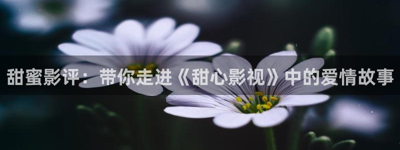 浙江西瓜：甜蜜影评：带你走进《甜心影视》中的爱情故事