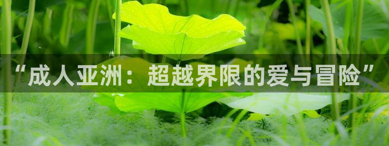 西瓜影院免费播放电视剧大全