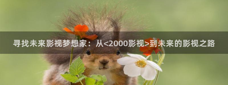 西瓜影院1：寻找未来影视梦想家：从<2000影视>到未来的影视之路