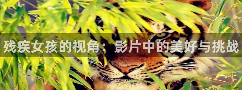 在线观看西瓜影院：残疾女孩的视角：影片中的美好与挑战
