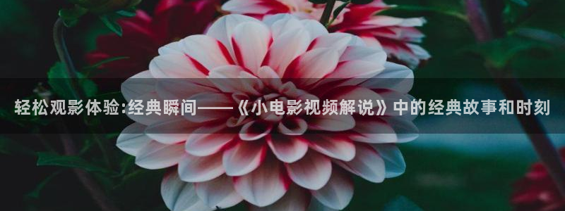北京西瓜：轻松观影体验:经典瞬间——《小电影视频解说》中的经典故事和时刻