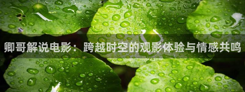 琪琪西瓜影院：卿哥解说电影：跨越时空的观影体验与情感共鸣