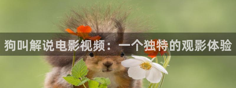 2012在线观看西瓜完整版免费：狗叫解说电影视频：一个独特的观影体验
