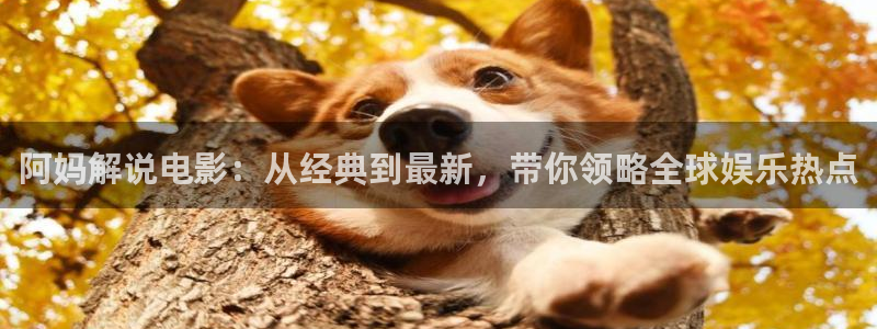西瓜影院理伦片：阿妈解说电影：从经典到最新，带你领略全球娱乐热点