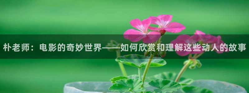 西瓜视频,：朴老师：电影的奇妙世界——如何欣赏和理解这些动人的故事