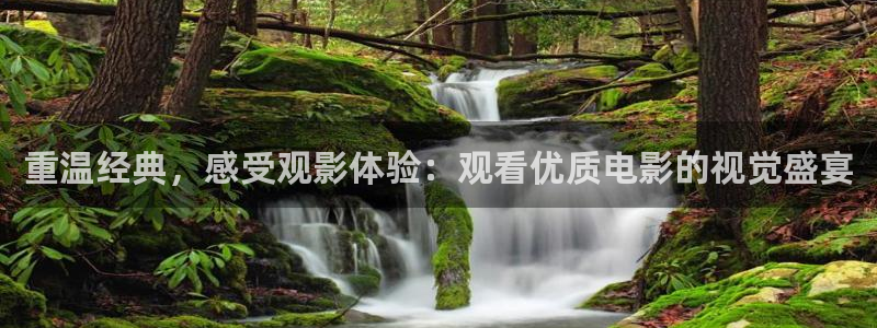 gogogo免费观看在线观看西瓜：重温经典，感受观影体验：观看优质电影的视觉盛宴