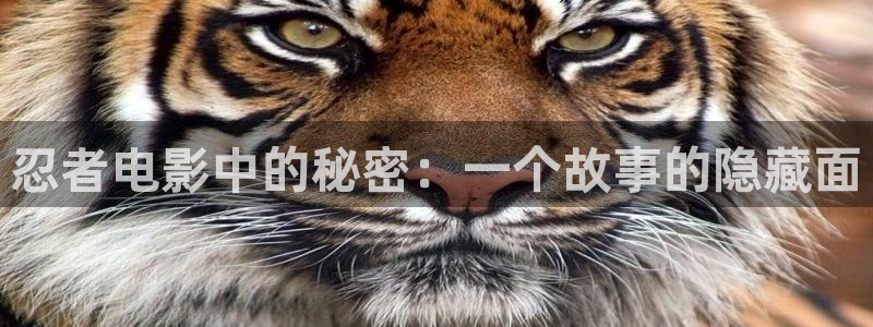 西瓜成人在线观看：忍者电影中的秘密：一个故事的隐藏面