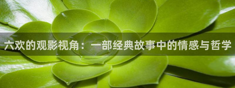 西瓜电影在线：六欢的观影视角：一部经典故事中的情感与哲学