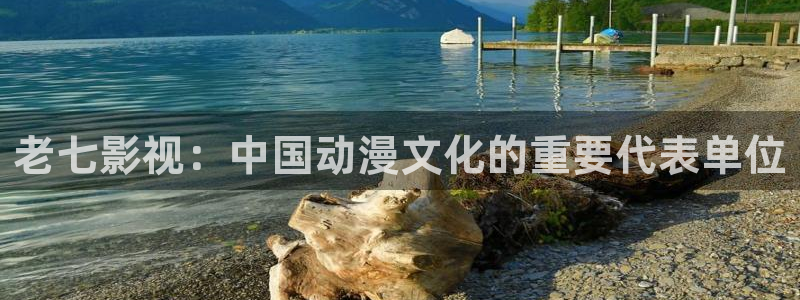 湖北的西瓜：老七影视：中国动漫文化的重要代表单位