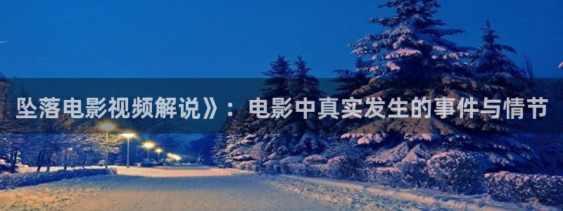 西瓜动漫在线观看完整免费：坠落电影视频解说》：电影中真实发生的事件与情节