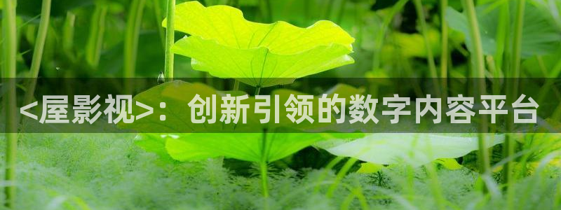冰火魔厨免费观看完整版西瓜：<屋影视>：创新引领的数字内容平台
