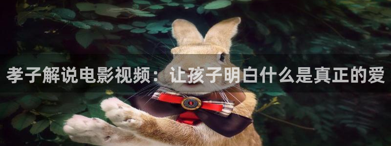 西瓜大西瓜：孝子解说电影视频：让孩子明白什么是真正的爱