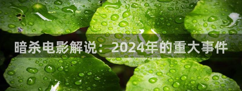 瞄准电视剧在线观看免费西瓜影院：暗杀电影解说：2024年的重大事件