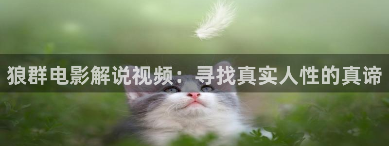 西瓜影院在线入口免费观看：狼群电影解说视频：寻找真实人性的真谛