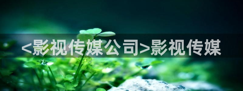 特警力量完整版免费观看西瓜：<影视传媒公司>影视传媒