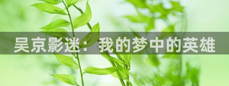 在线观看西瓜影院：吴京影迷：我的梦中的英雄