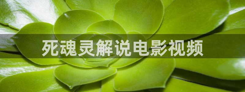 天生一对免费观看完整版西瓜：死魂灵解说电影视频