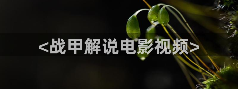 西瓜动漫：<战甲解说电影视频>