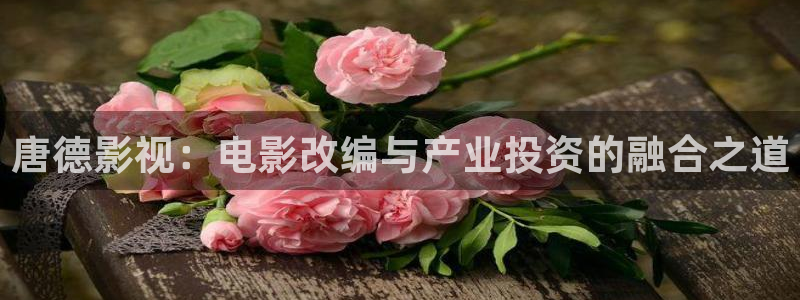 飘雪影院在线观看高清电视剧西瓜：唐德影视：电影改编与产业投资的融合之道