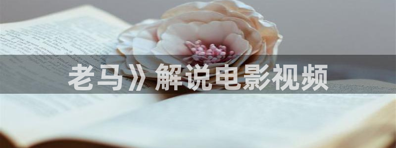 西瓜体育直播在线观看：老马》解说电影视频
