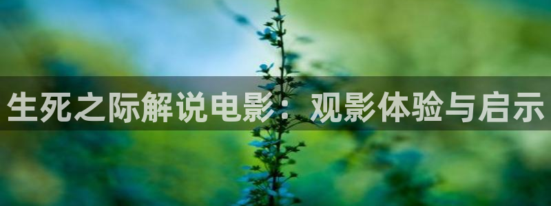 西瓜影院在线播放观看：生死之际解说电影：观影体验与启示