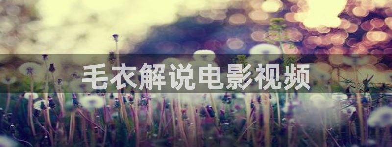 西瓜琪琪影院：毛衣解说电影视频