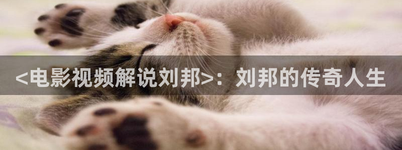 西瓜视频官方：<电影视频解说刘邦>：刘邦的传奇人生