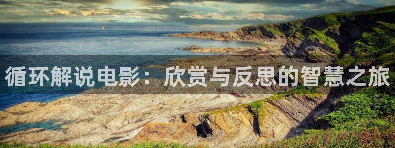 迷人的保姆西瓜影院：循环解说电影：欣赏与反思的智慧之旅