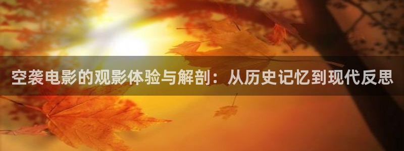 西瓜视频在线播放：空袭电影的观影体验与解剖：从历史记忆到现代反思
