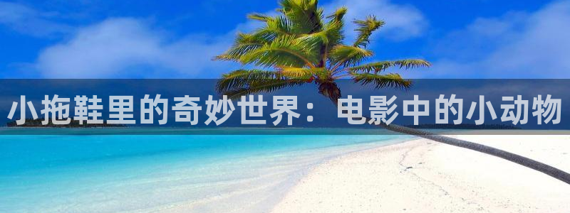 717影院在线观看免费播放电视剧西瓜：小拖鞋里的奇妙世界：电影中的小动物