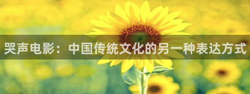 奉贤西瓜：哭声电影：中国传统文化的另一种表达方式