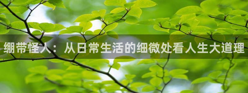 西瓜影院电视剧在线观看