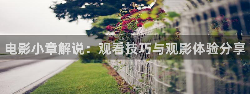 西瓜照片：电影小章解说：观看技巧与观影体验分享